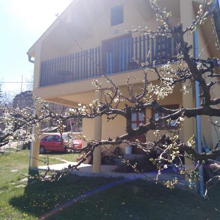 Dedinje Villa Ягодина Екстериор снимка