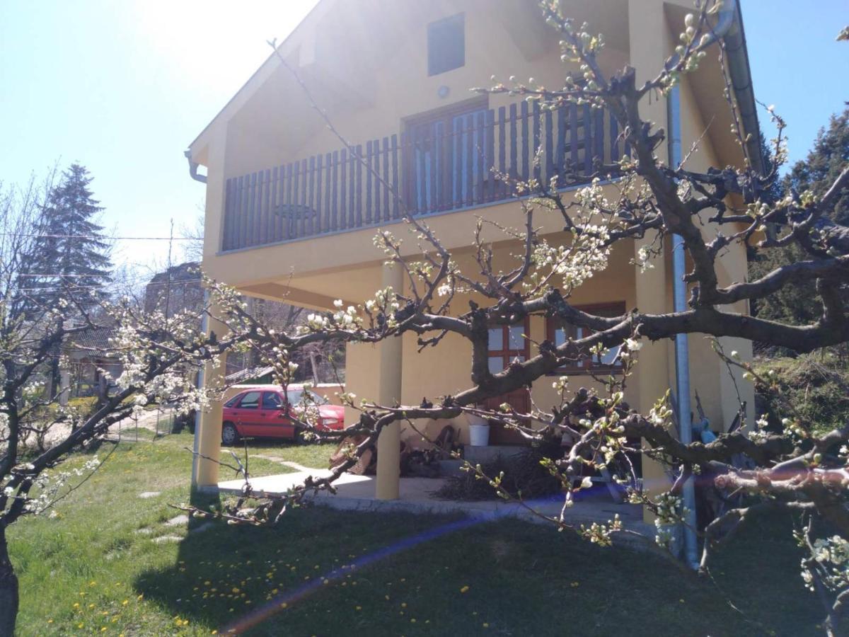 Dedinje Villa Ягодина Екстериор снимка