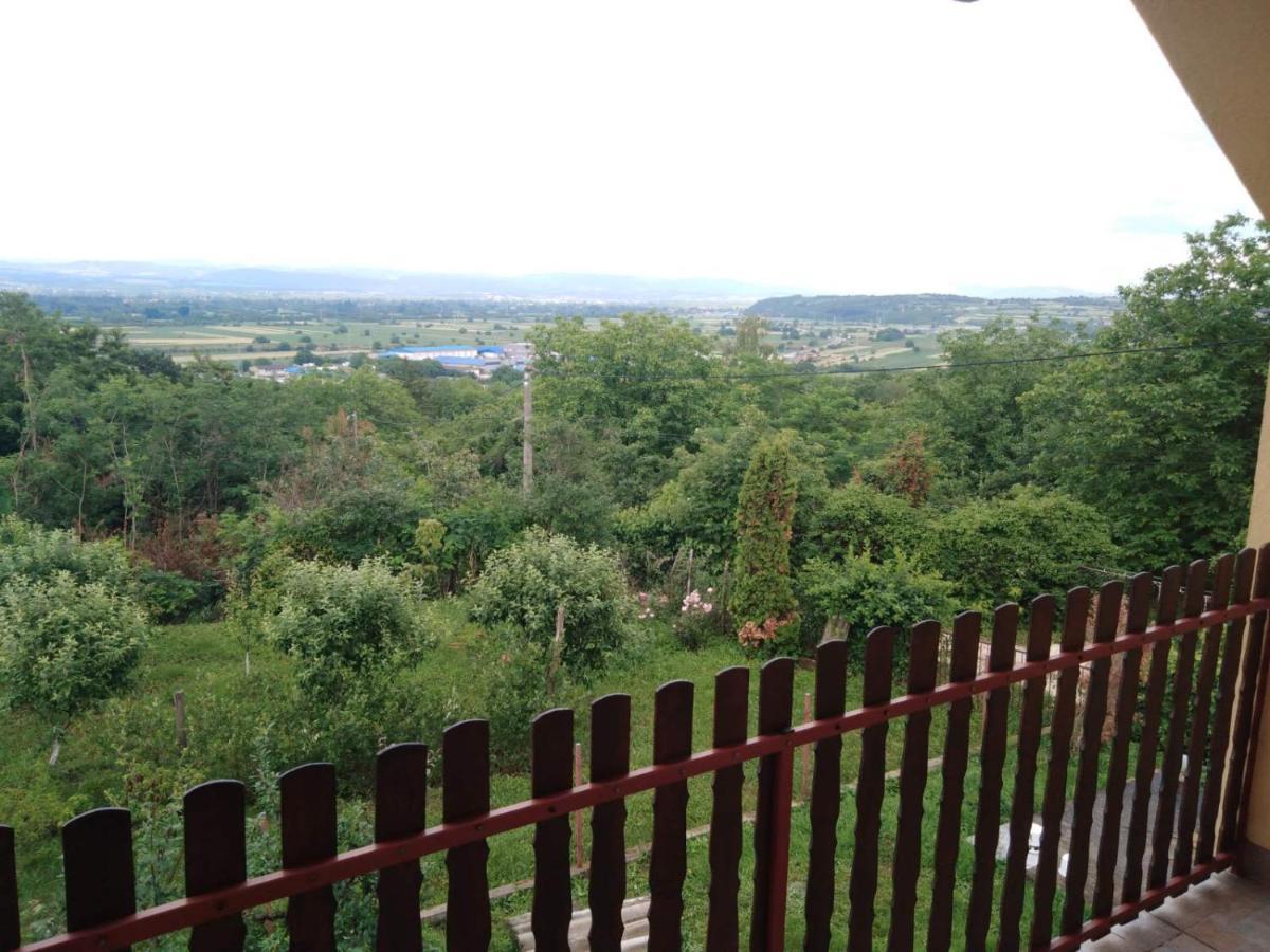 Dedinje Villa Ягодина Екстериор снимка