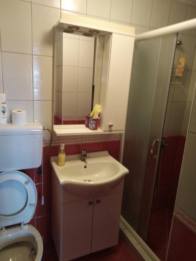 Dedinje Villa Ягодина Екстериор снимка